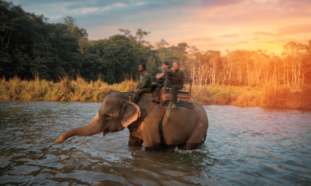 Chitwan Adventure Safari Tour-3 Nights 4 Days